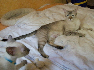 Mit ihrem Zweitgeborenen: Gordito